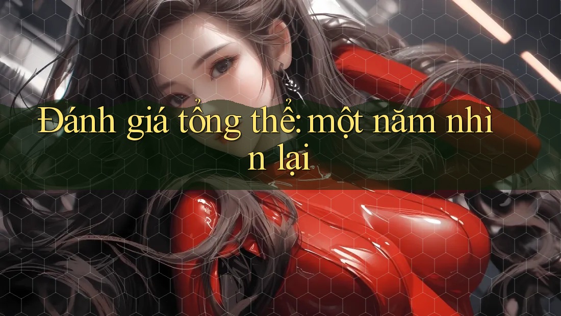 Đánh giá tổng thể: một năm nhìn lại